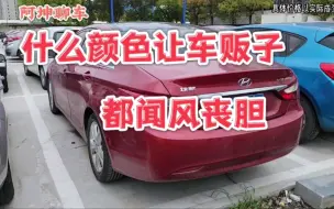 Télécharger la video: 《车贩子都闻风丧胆的颜色》