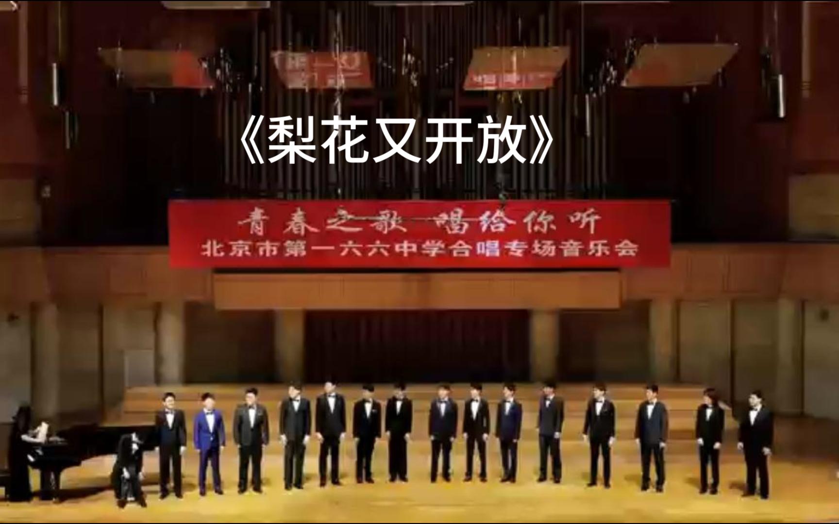 《梨花又开放》