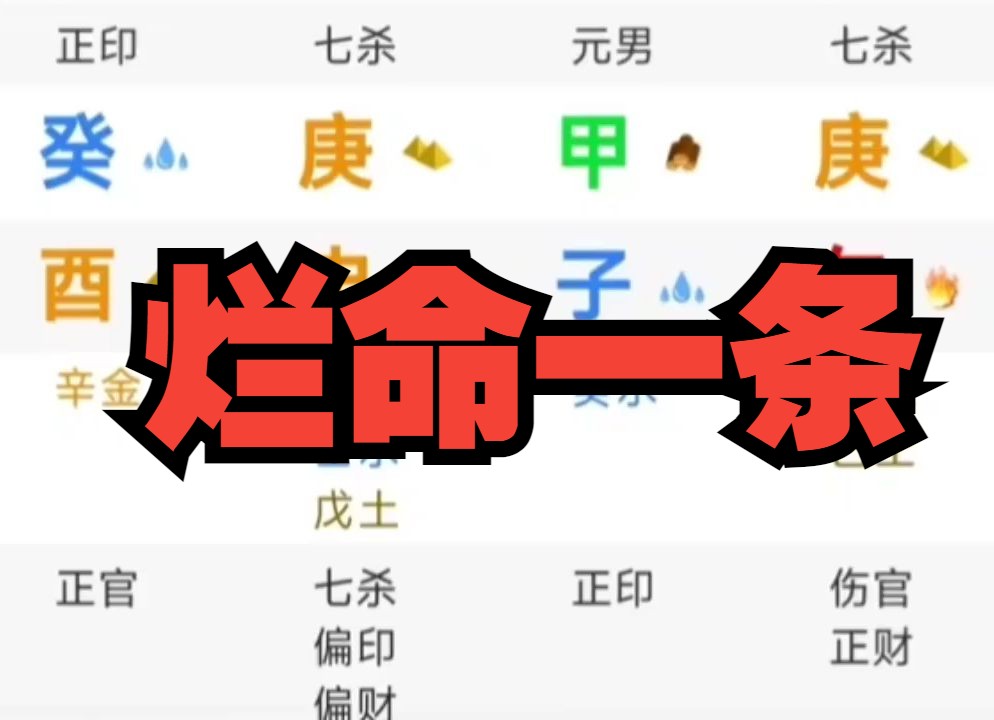 烂命一条哔哩哔哩bilibili