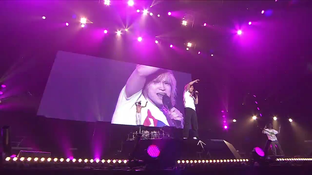 [图]ゴ-ルデンボンバ-「女々しくて」 live 2012/1/15 日本武道館