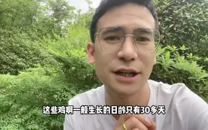 Video herunterladen: 一只活鸡成本都100了，但街边烤鸡只卖十几块，用的是什么鸡呢？