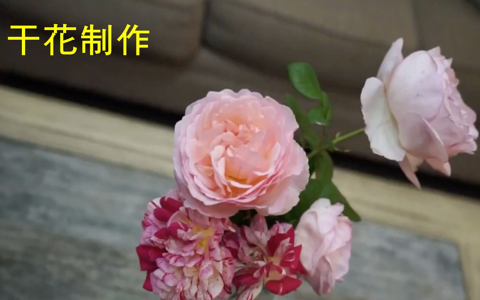 如何制作干花哔哩哔哩bilibili