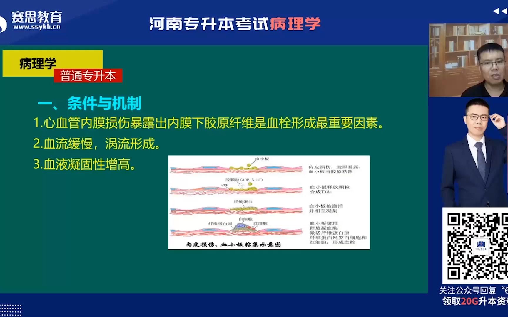 2022河南医学专升本邵玉普病理学血栓形成的条件哔哩哔哩bilibili