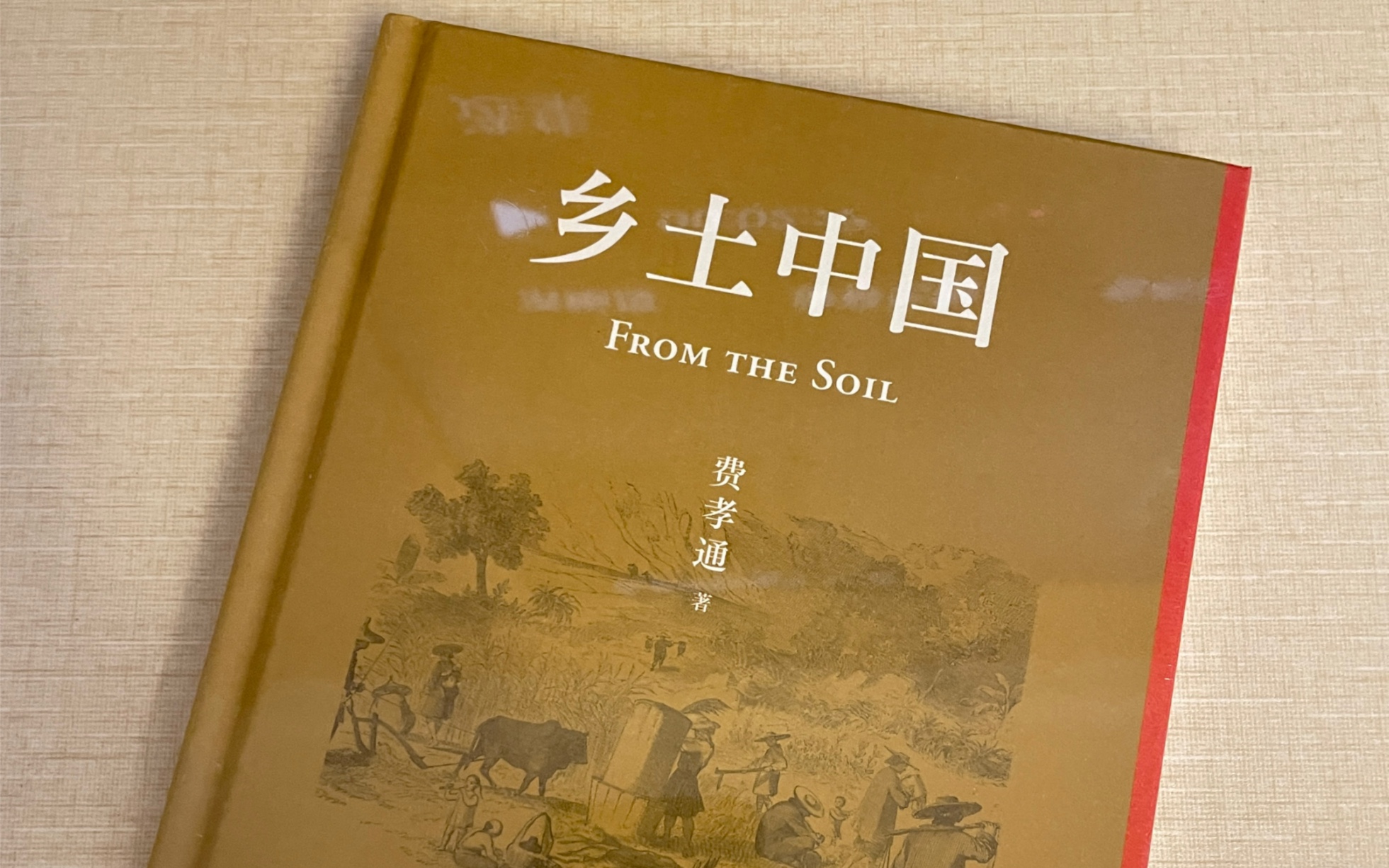 經典!若想了解中國人一定要讀一讀這本書《鄉土中國》