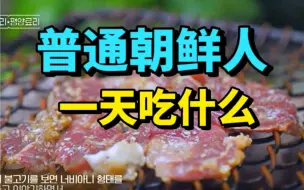 Download Video: 朝鲜人一天吃什么，板蟹？海参？玉米？