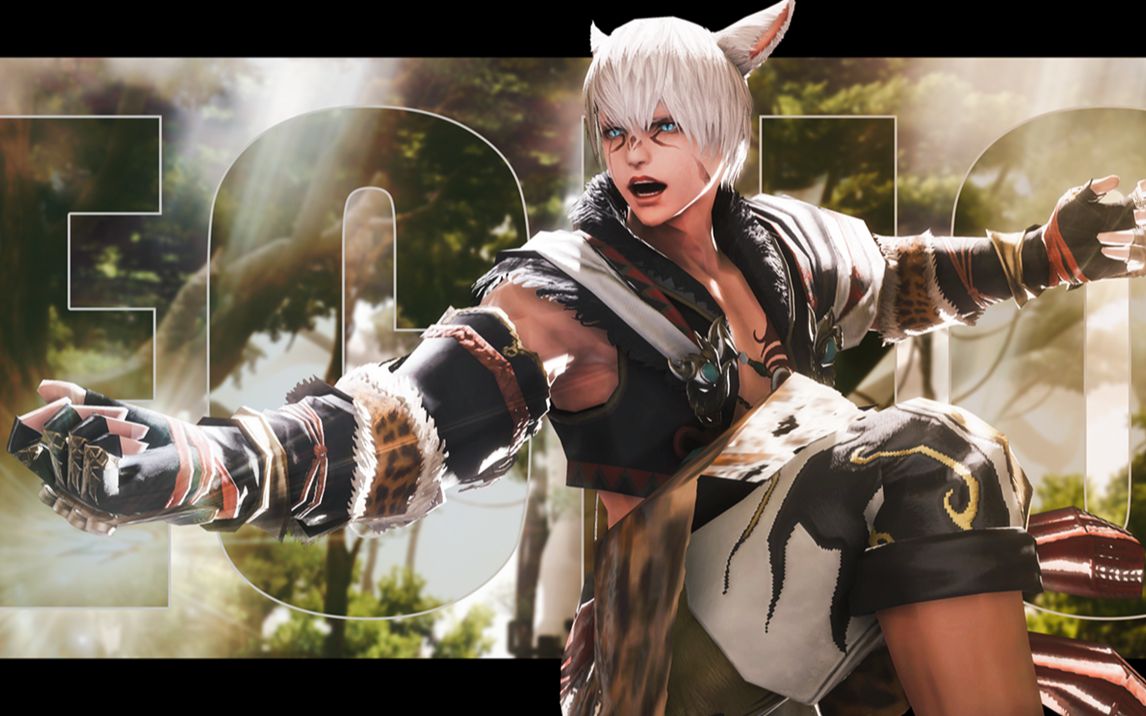 【ff14|一分钟猫男混剪 echo