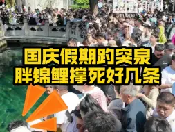 Download Video: 国庆假期趵突泉胖锦鲤撑死好几条，保安拎着