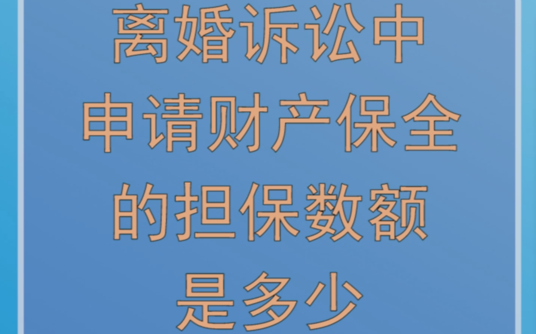 离婚诉讼中申请财产保全的担保数额是多少?哔哩哔哩bilibili