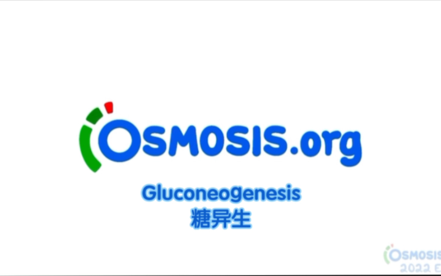 [图][Osmosis]糖异生Gluconeogenesis•生物化学•糖代谢