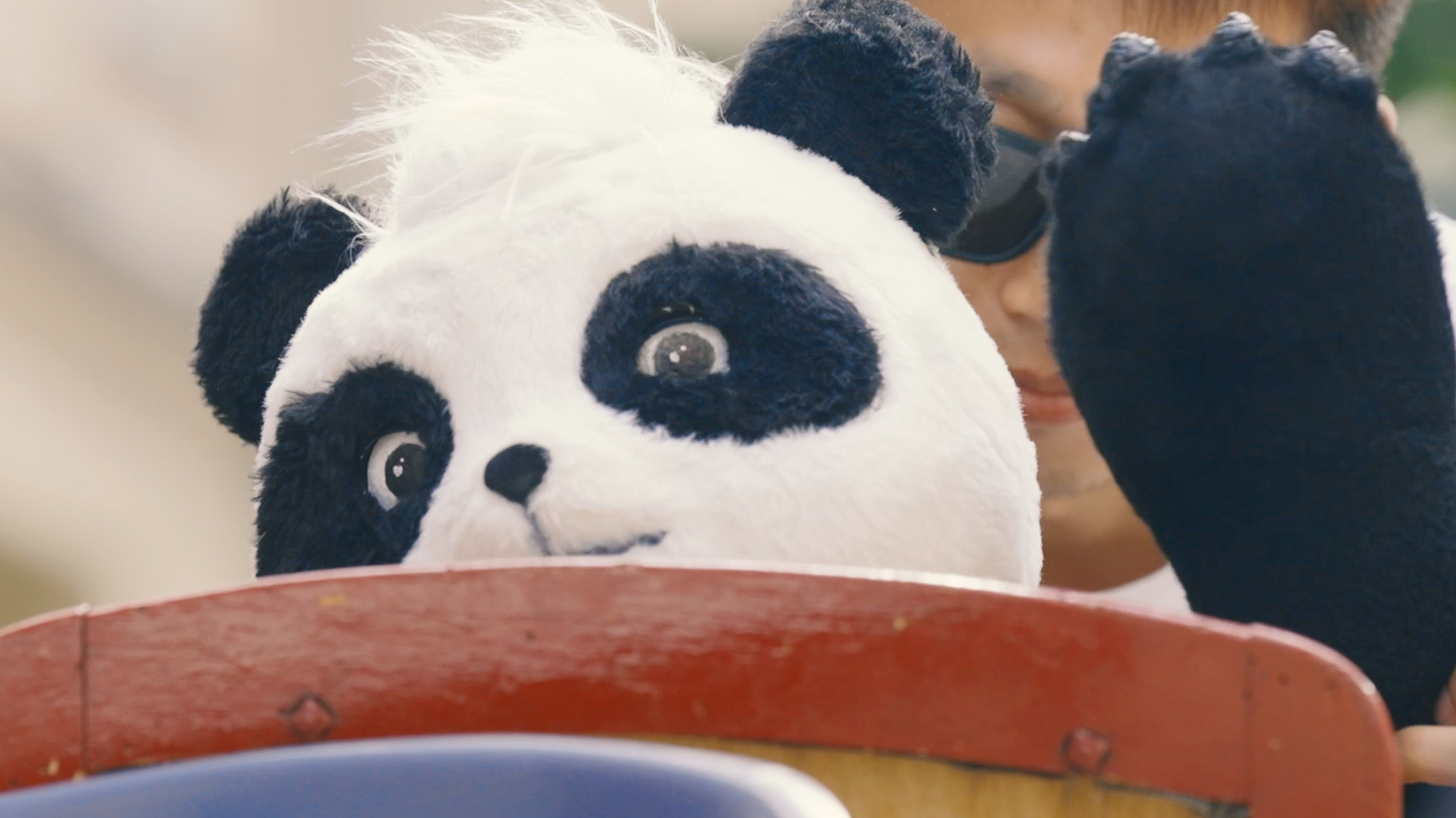 纪录片《熊猫啊吨的闪耀之旅》精彩预告闪亮登场