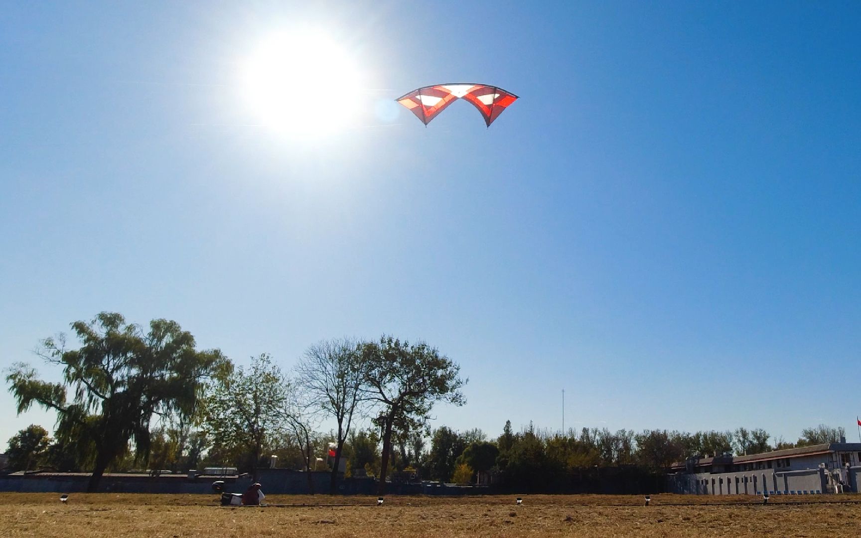 树叶四线风筝标准版