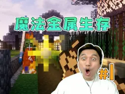 Tải video: 三年之约已到 魔法金属生存 EP1