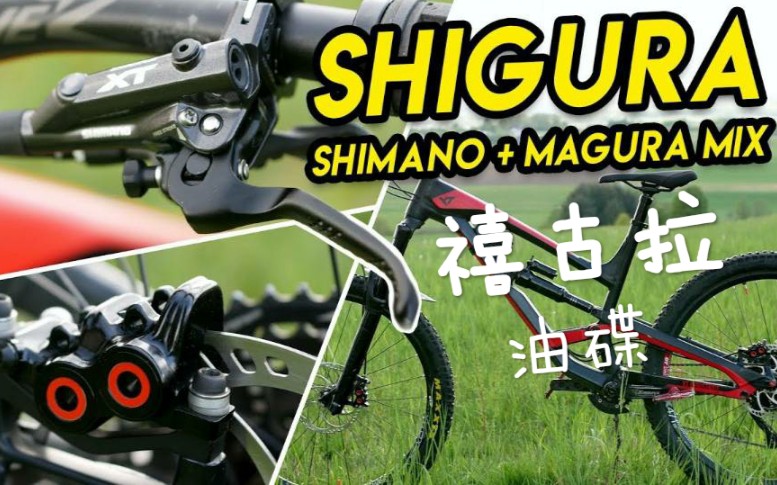 [图]【搬运工】禧古拉Shigura油碟，了解一下（Shimano+Magura)