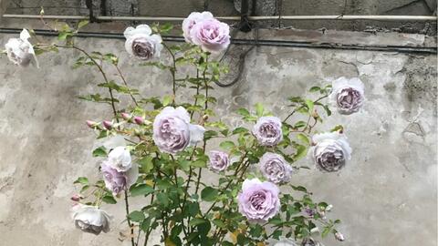 搜索 哔哩哔哩 つロ干杯 Bilibili