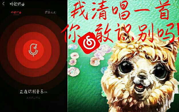 绘画区PU清唱开腔网易云听歌识曲能否认别?哔哩哔哩bilibili