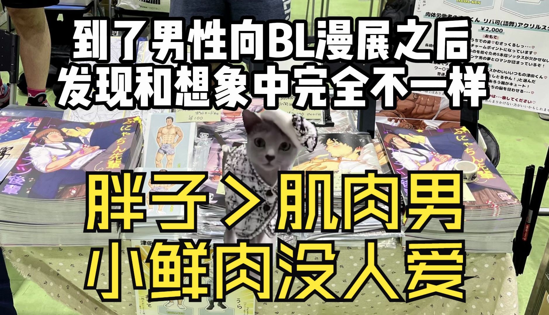 买了5万元的男性向BL本,发现男人最爱莱欧斯和大毛哔哩哔哩bilibili