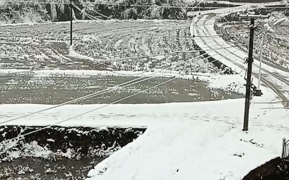 今朝若是同淋雪,此生也算共白头,白头并非雪可替,相识已是上上签,白头若是雪可替,世间何来伤心人.此时若有君在侧,何须淋雪作白头.哔哩哔哩...