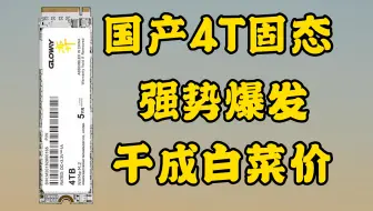 国产4T固态硬盘沦为白菜价，长江存储直接把桌子都掀了！