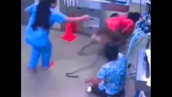“狗子打针的爆笑名场面”