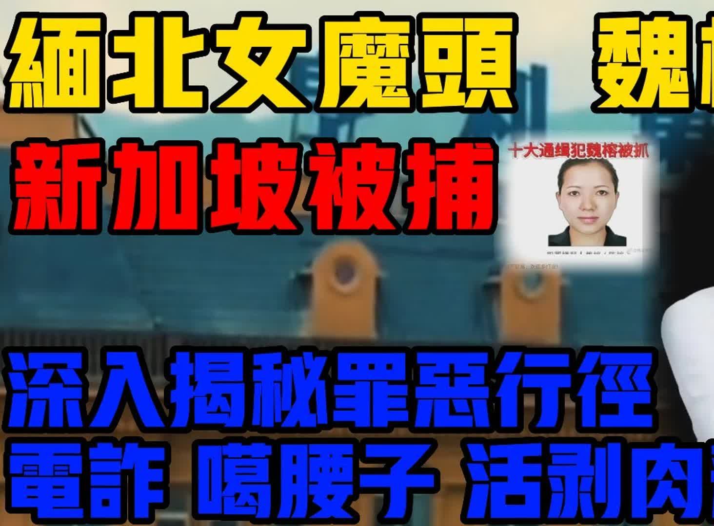 [图]缅北女魔头魏榕，新加坡被捕，深入揭秘罪恶行径，电诈，噶腰子，活剥肉莲