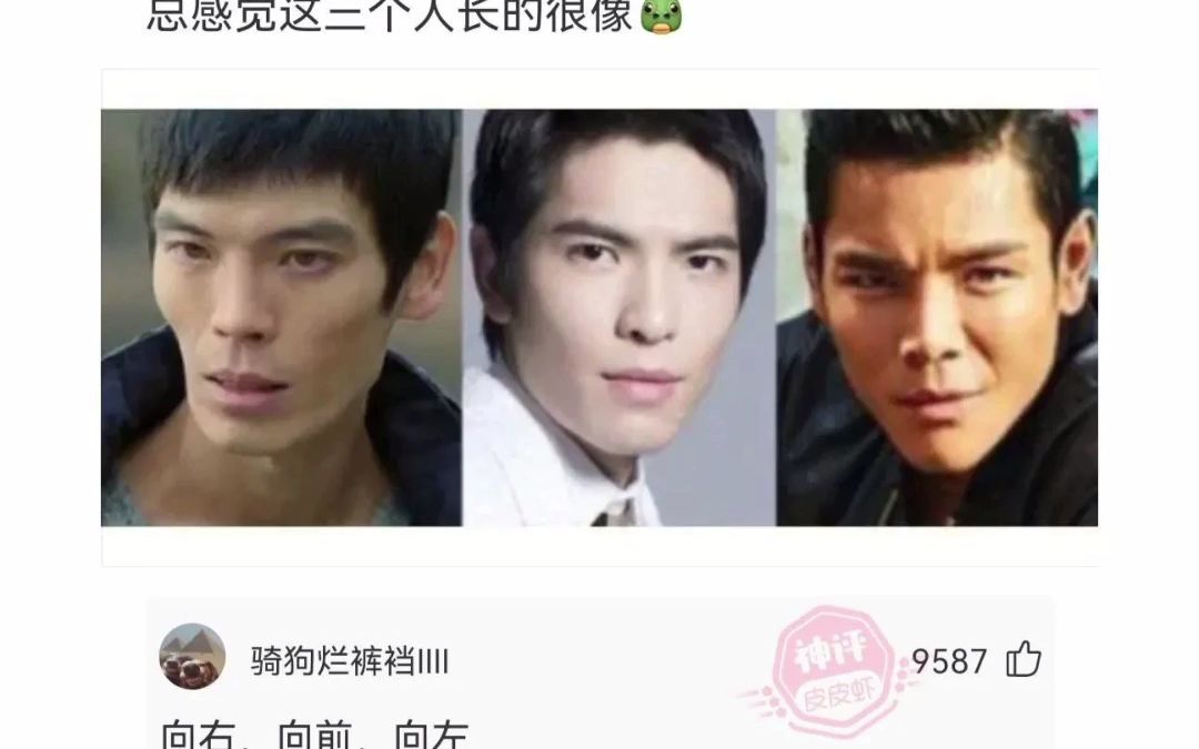 爆笑图片第97弹哔哩哔哩bilibili