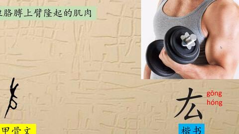 263 肱二头肌 汉字 说文解字 象形字 甲骨文 金文 篆文 书法 写字 国学 哔哩哔哩 263 肱二头肌 汉字 说文解字 象形字 甲骨文 金文 篆文 书法 写字 国学 哔哩哔哩