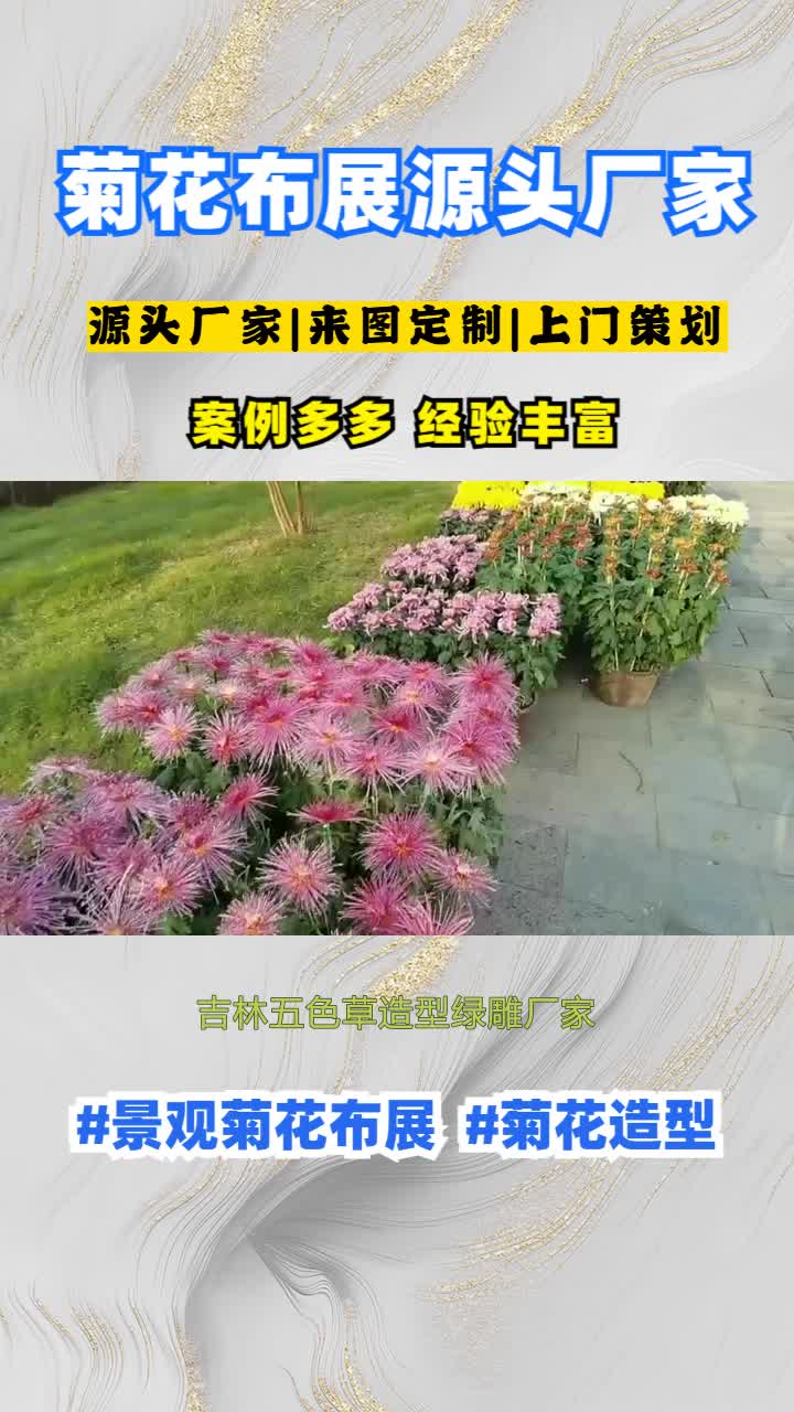 吉林五色草造型绿雕厂家,菊花花会,菊花绿雕,厂家专业设计,施工,一站式服务商,12年艺菊设计制造经验,专业团队,售后无忧,欢迎来厂考察. #五...