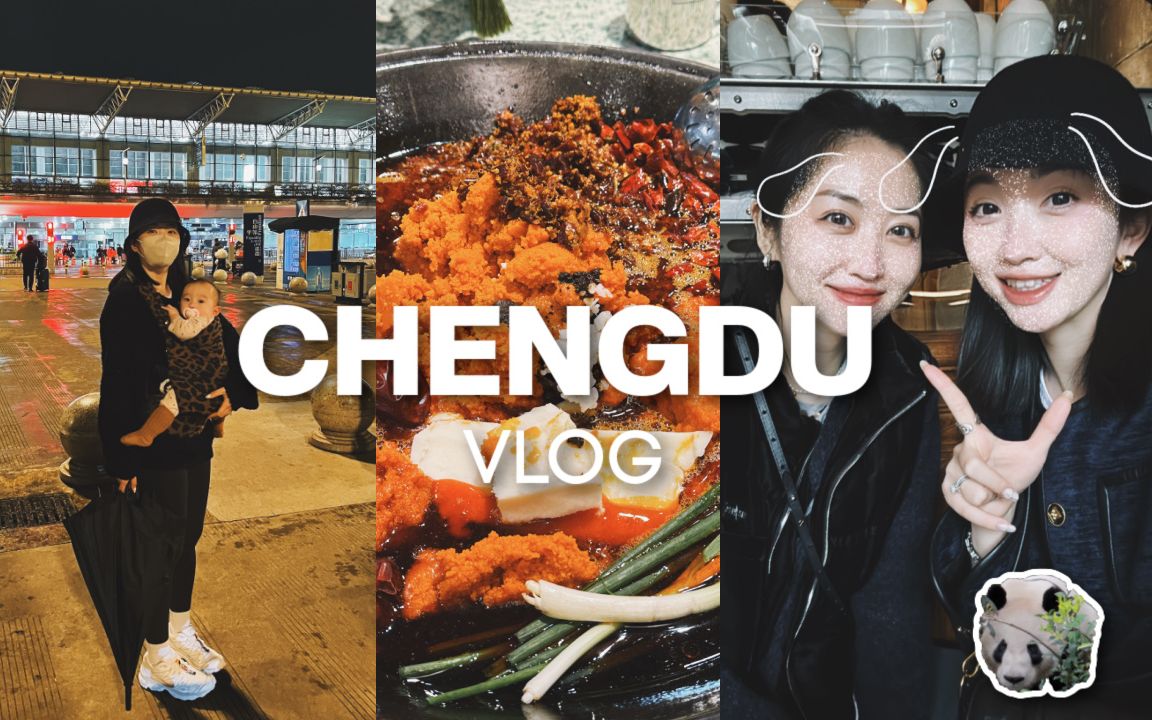 CHENGDU VLOG|惊喜回国!成都的安逸生活~每天早上一碗面|和踢娜腾哥去看大熊猫|五里关火锅|大慈寺喝茶|竹园火锅兔|文殊坊围炉煮茶哔哩哔哩bilibili