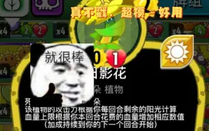 Download Video: 《小辞pvzh》屑屑你，花朵侠