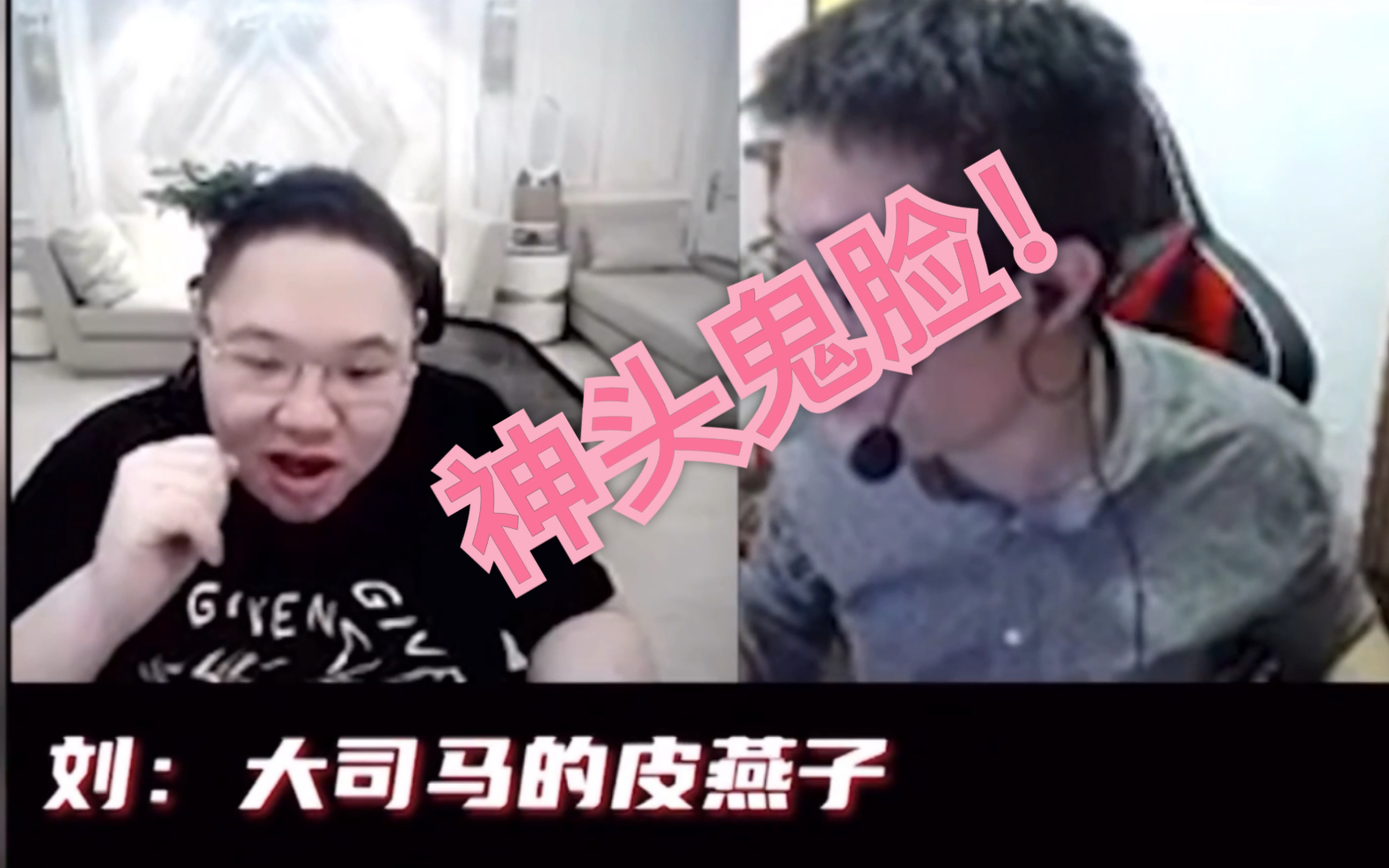 当ppd问大司马皮燕子是什么