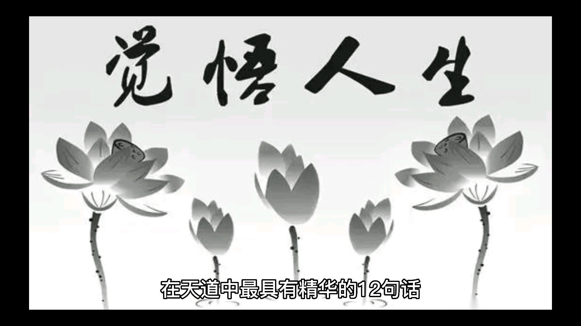 觉悟人生!哔哩哔哩bilibili