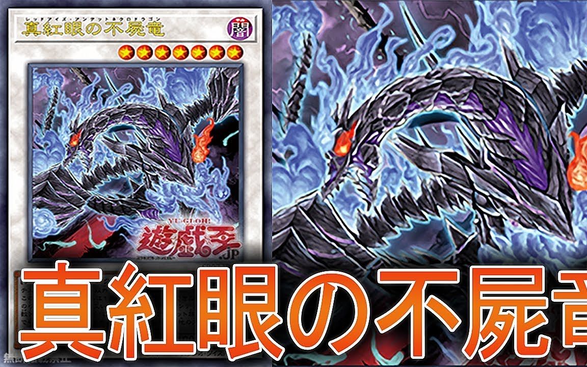 游戯王ads真红眼不尸龙ygopro