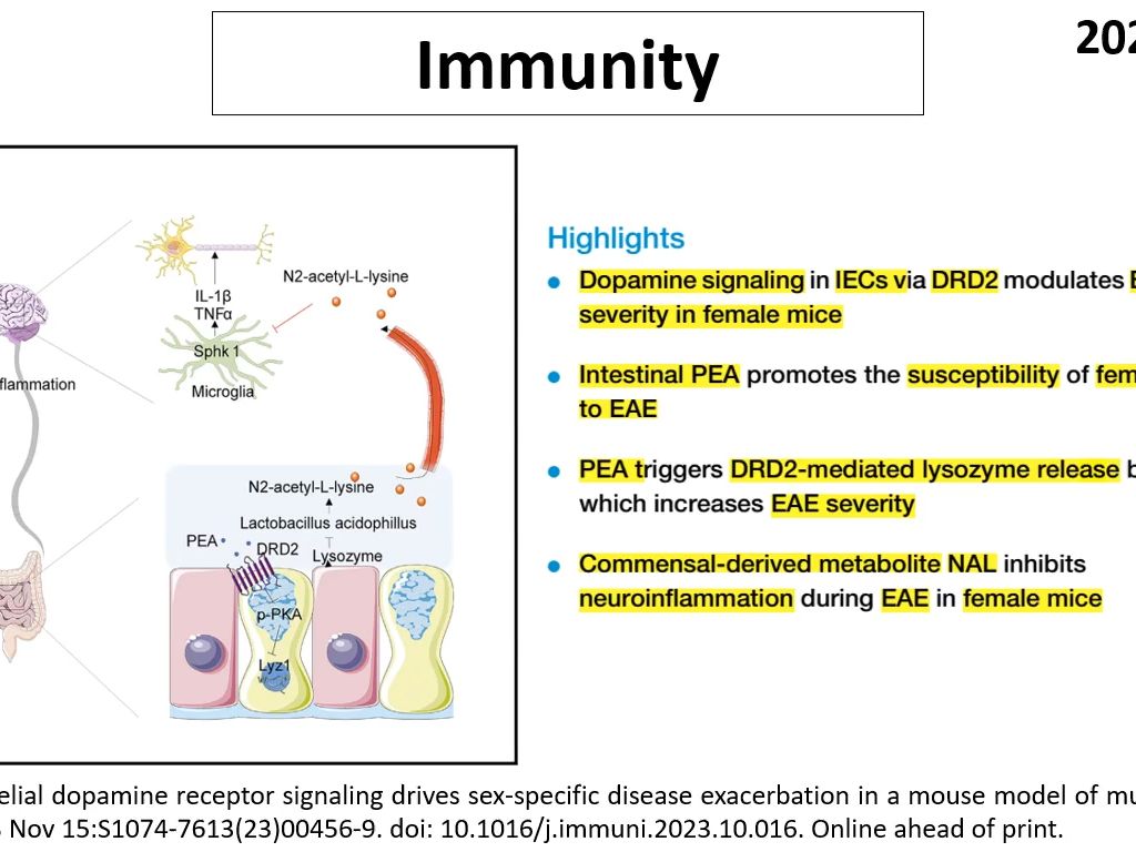 Immunity—肠道上皮细胞的DA受体信号通路驱动EAE性别特异性疾病进展哔哩哔哩bilibili