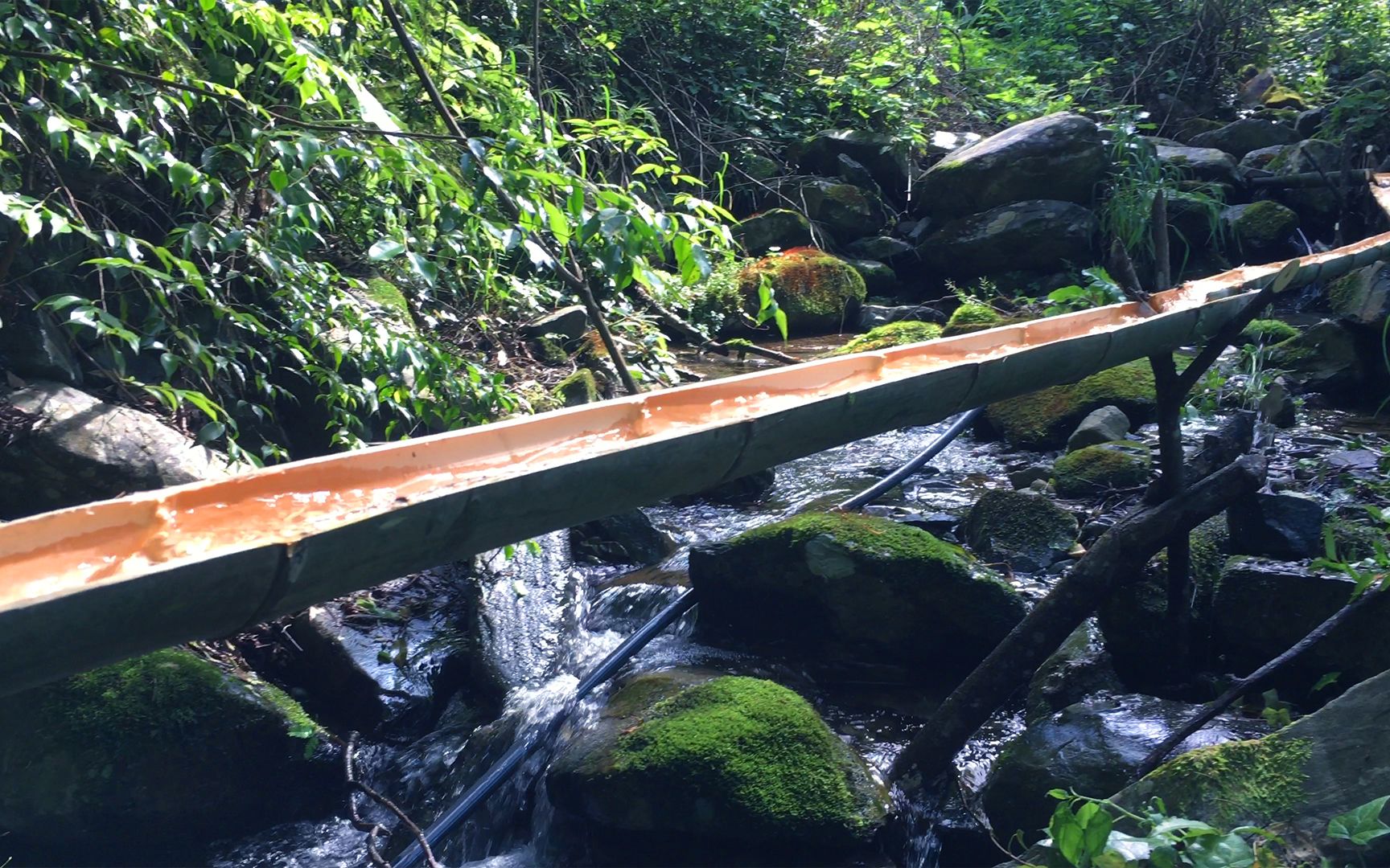 砍一根竹子做水槽引水入田,全部支架没用一根绳子