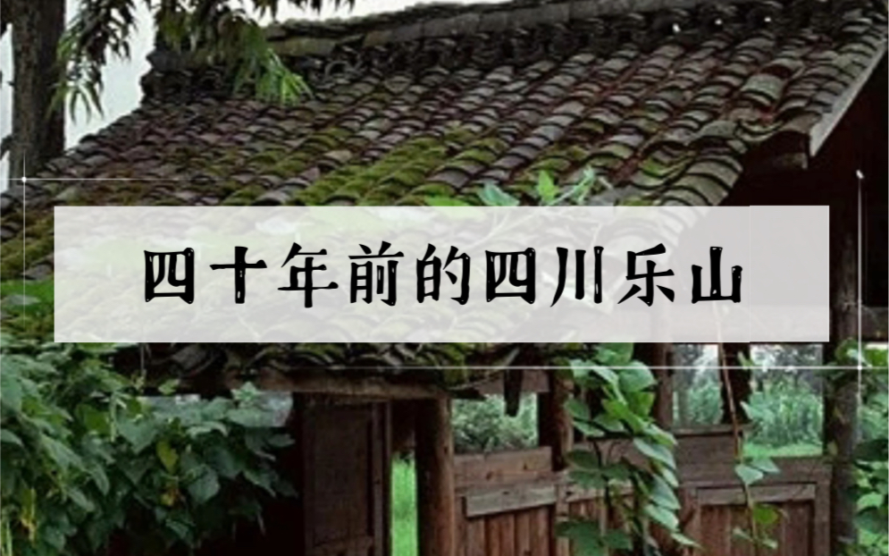 [图]1981年的乐山，那时候没什么文物保护观念，不少人坐在乐山大佛脚背上休息或者是拍照留影，这一幕现在是看不到了。