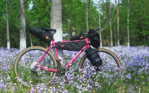 Télécharger la video: Boskey不死骑 Archer plus 2020 订制版Gravel