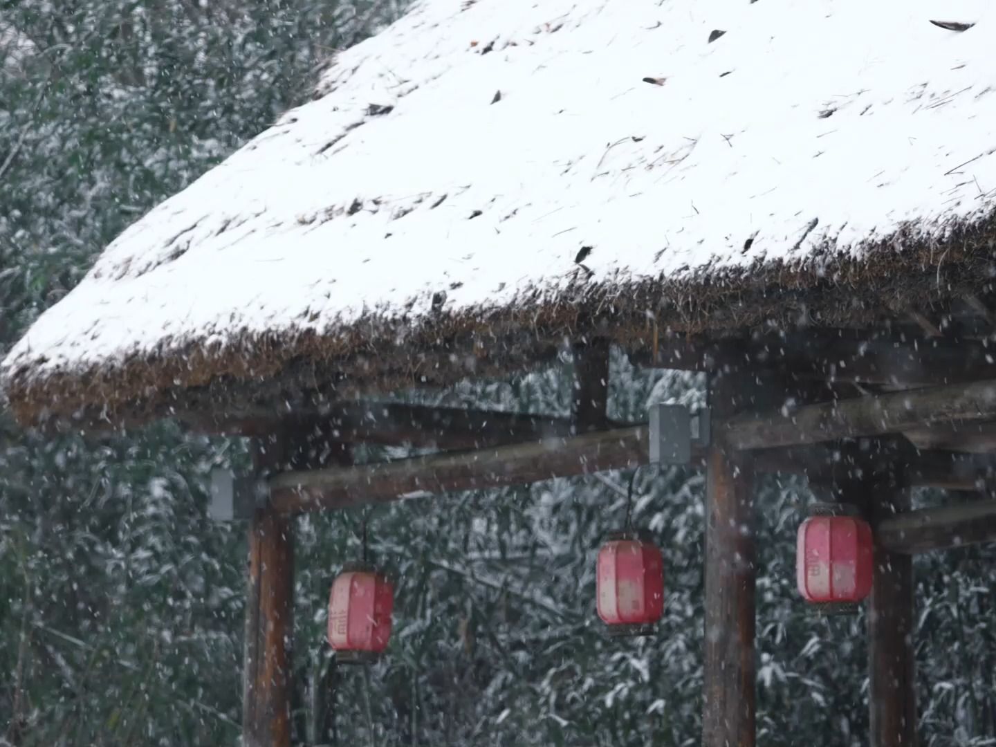 北国江南的信阳,清冬见远山,积雪凝苍翠.雪落倾城,是写给人间的诗.#信阳 #信阳文旅#你的城市下雪了吗 #冬天该有的样子 #下雪哔哩哔哩bilibili