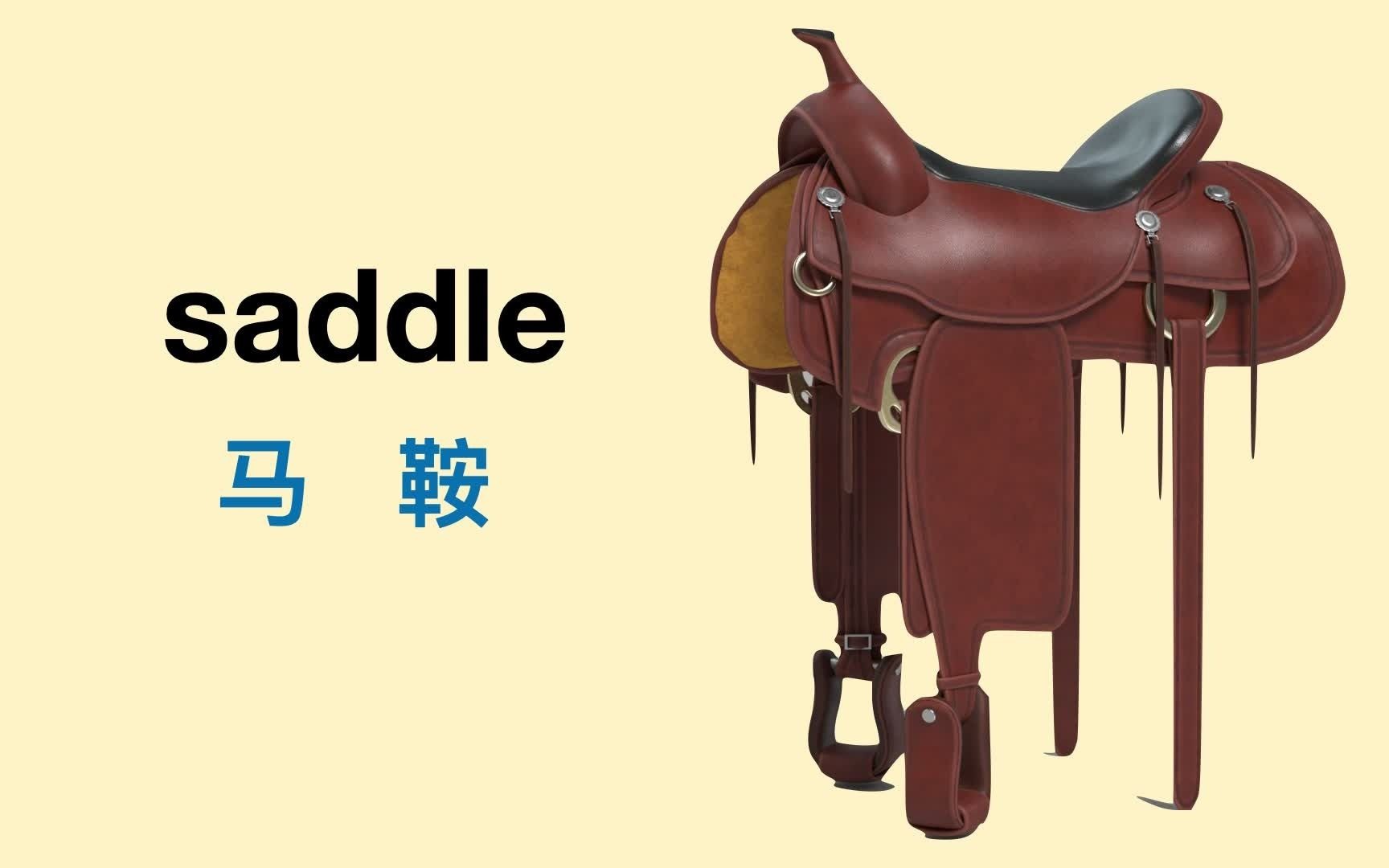 怎样用单词转化规律牢记单词—— saddle哔哩哔哩bilibili