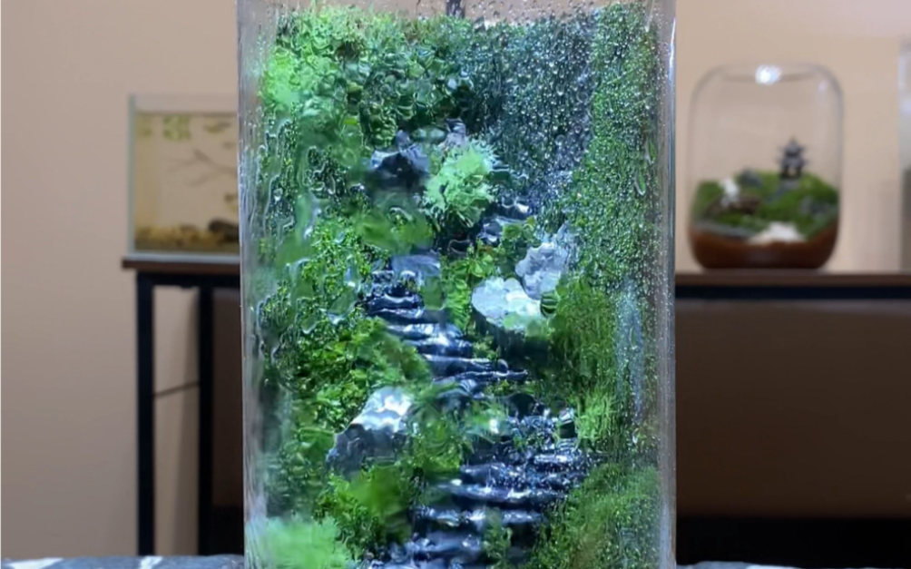 山里不起眼的苔藓竟然做成了一个"艺术品"