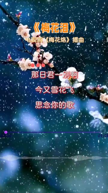 电视剧《梅花烙》插曲《梅花泪》,原唱:文希,感人至深的歌声,听哭了多少痴情人! 文希哔哩哔哩bilibili