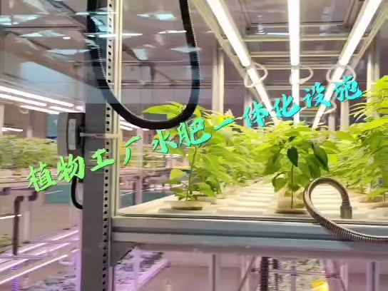 植物工厂水肥一体化设施厂家山东圣大节水科技有限公司无土栽培模式哔哩哔哩bilibili