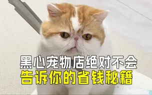 Download Video: 宠物店揭秘：绝不告诉你的养猫省钱秘籍🤑