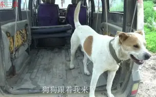 Video herunterladen: 【聊三农】农村河边怎么洗车？1个桶1条手巾，不比城里的洗车店差