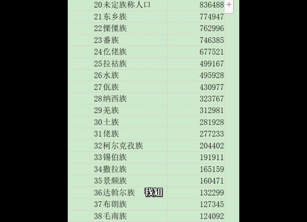 2020年第七次全国人口普查分民族人口数量分析,中华民族一家亲哔哩哔哩bilibili