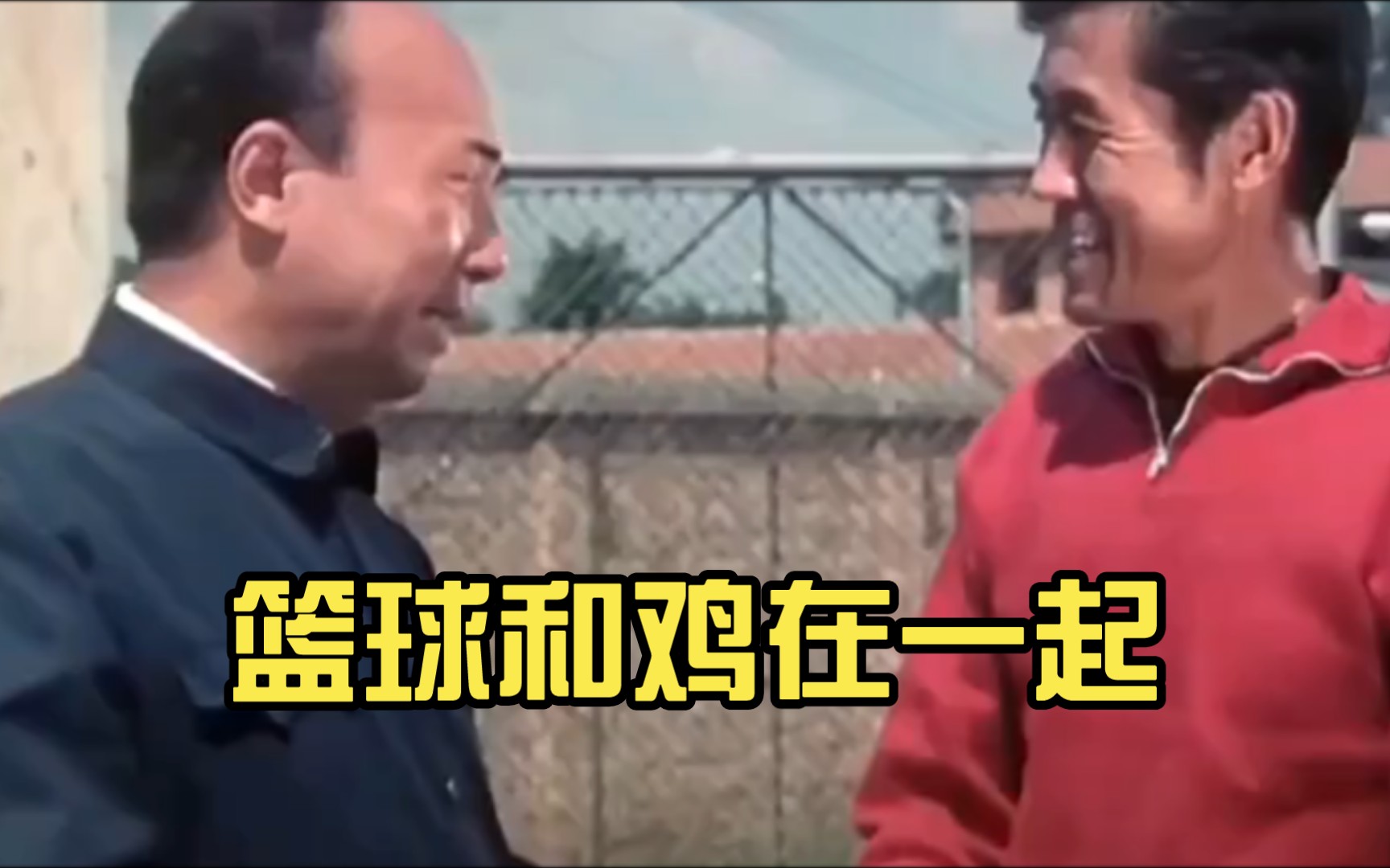 篮球和鸡在一起