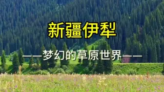 下载视频: 新疆伊犁9天游，从5月1日起每周发团！想要跟上宝子们评论区留言！梦幻般的草原期待你到来！