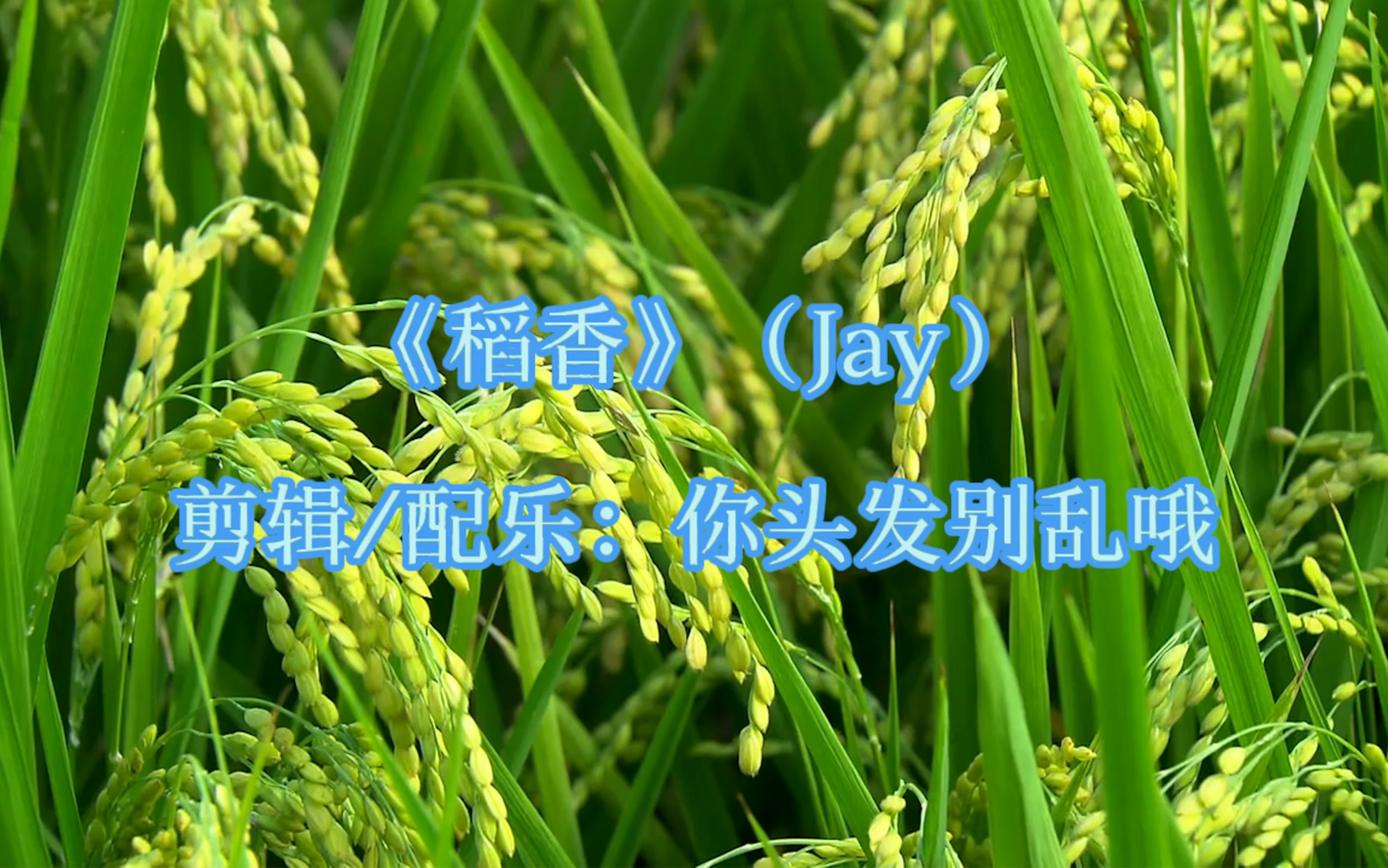 《稻香》(jay)—"回家吧,回到最初的美好"