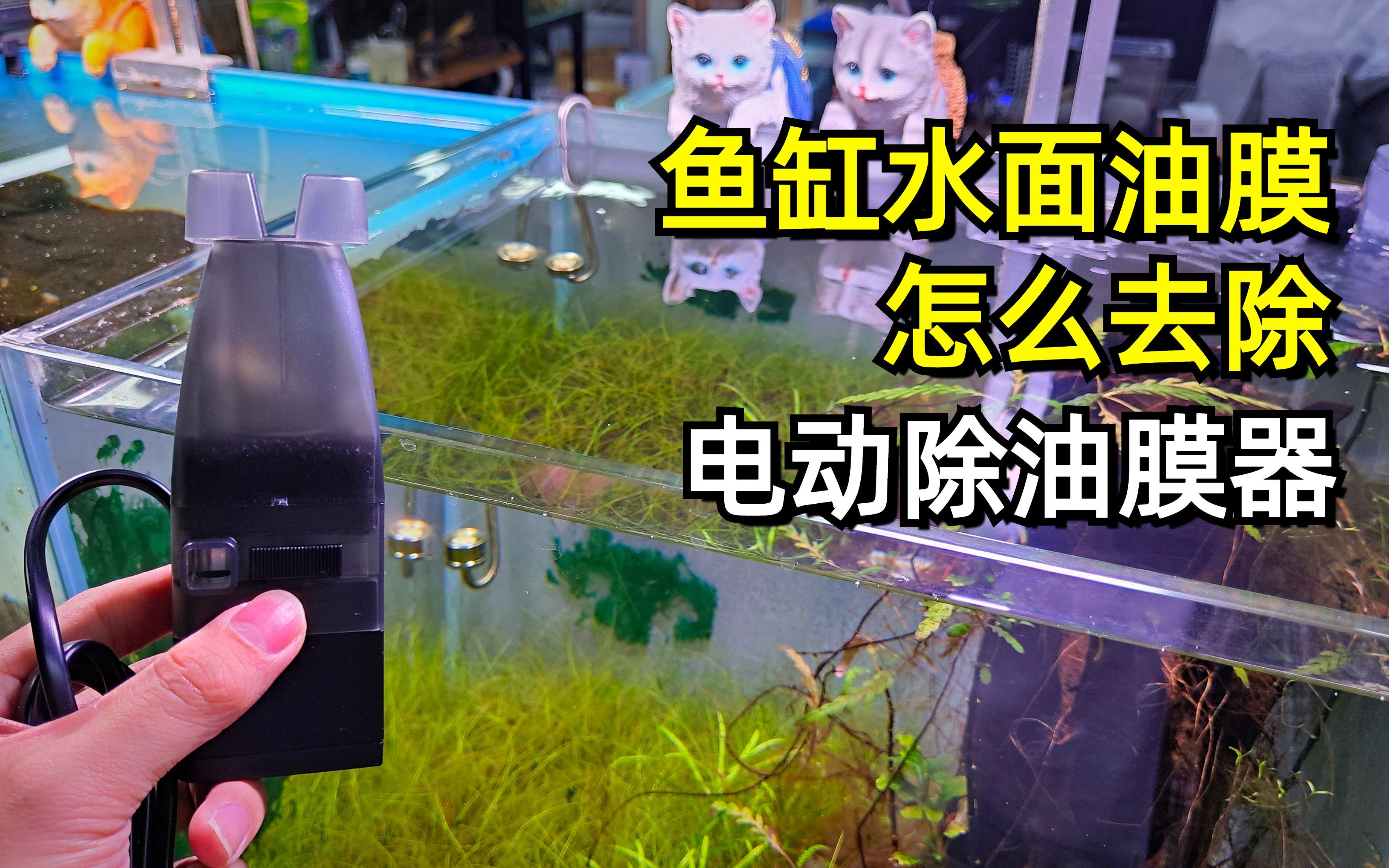 鱼缸水面油膜如何去除?自动除油膜器帮你解决