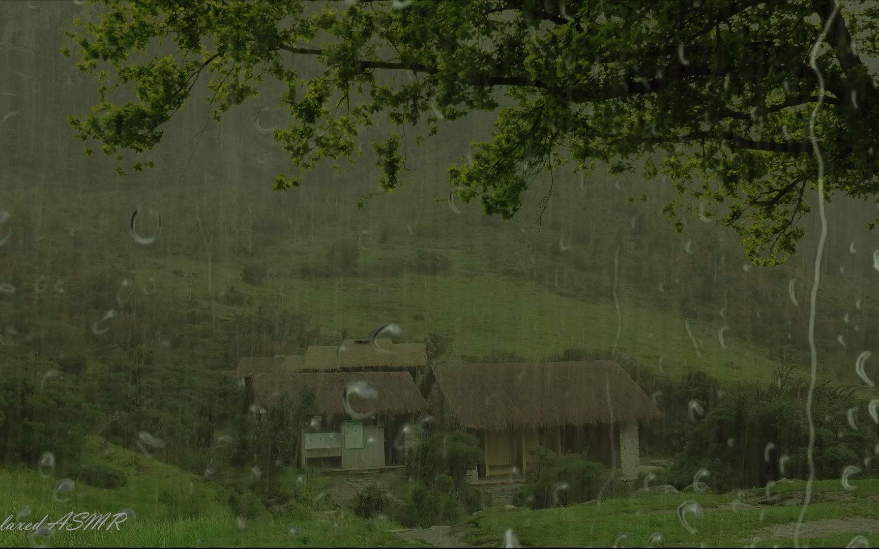 听雨入睡图片图片