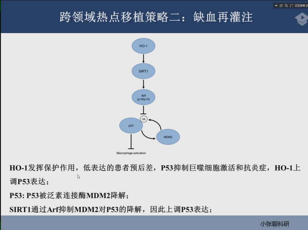 科研选题:最前沿研究热点分析+国自然基金标书6种套路写作视频哔哩哔哩bilibili